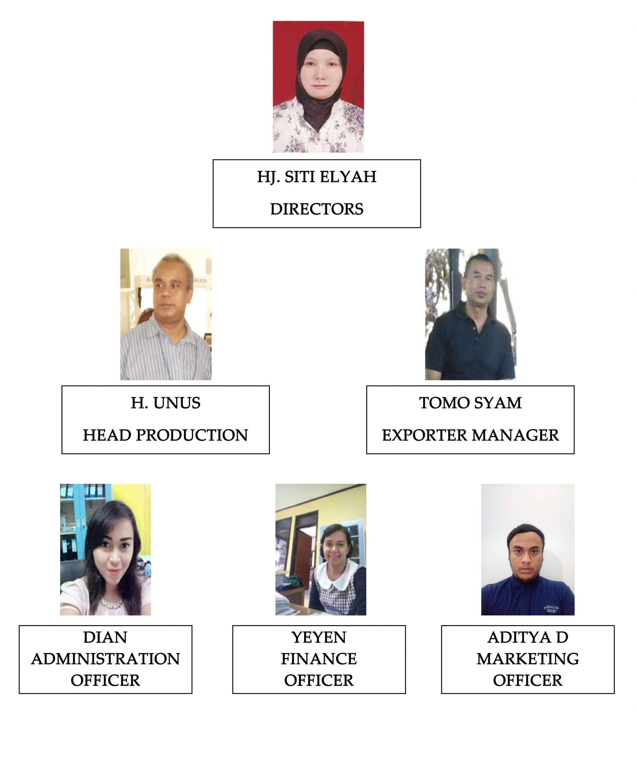 struktur organisasi phjs